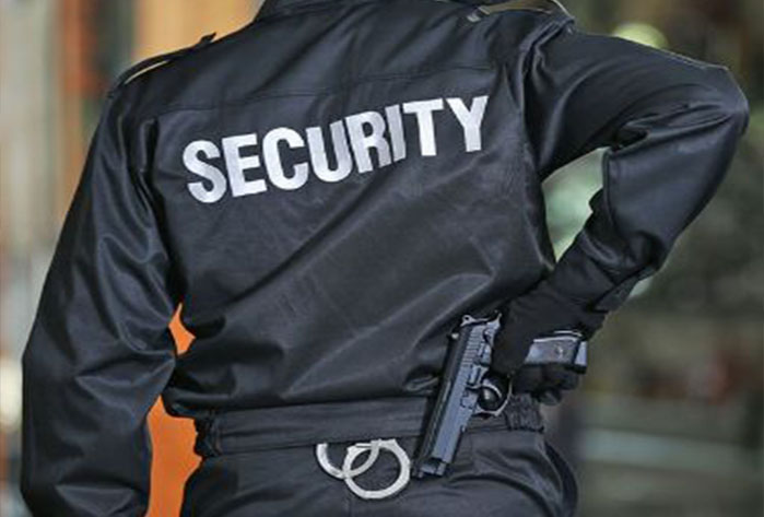 About Mfungo Security